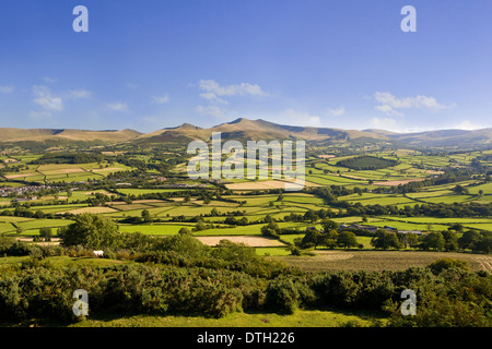 Pen Y Fan, du maïs, Cribyn et massif central, vue à partir de Pen y Crug à la fin de l'été, le Parc National des Brecon Beacons. Banque D'Images