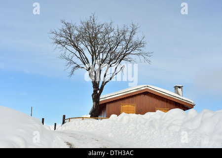 Chambre dans la neige sur le côté de l'arbre de Pentecôte Banque D'Images