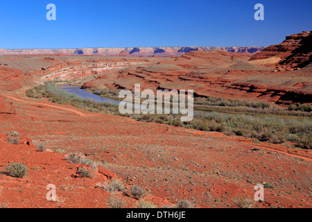 Rivière San Juan, Mexican Hat, Monument Valley, Utah, USA Banque D'Images