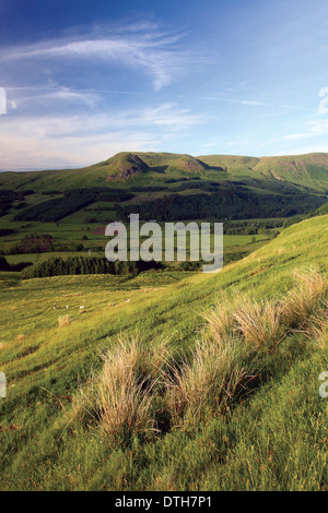 Les Campsie Fells au-dessus de Glengoyne Distillery dans la banlieue de Glasgow, Stirlingshire Banque D'Images