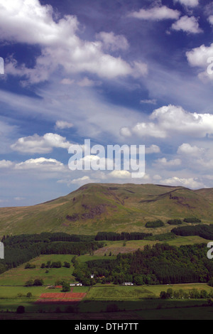 Les Campsie Fells au-dessus de Glengoyne Distillery dans la banlieue de Glasgow, Stirlingshire Banque D'Images