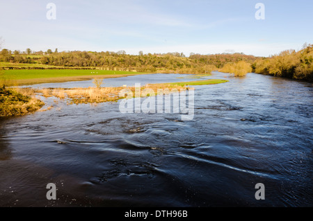 Rivière Boyne, Irlande Banque D'Images