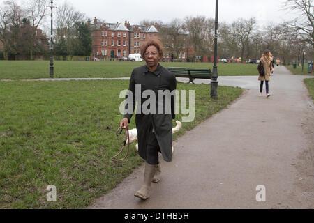 London UK. 18 février 2014. Avocat et juge à temps partiel Constance Briscoe qui subi son procès de Southwark Crown Court pour avoir menti à la police au sujet de l'excès de points concernant l'excès de Chris Huhne MP points est vu promener son chien à Clapham Common. Constance Briscoe est dû comparaître en cour en avril après que le jury n'a pas réussi à rendre un verdict Crédit : amer ghazzal/Alamy Live News Banque D'Images