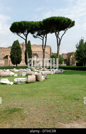 Vue sur jardin de pins de bâtiments le long des ruines des bains extérieurs mur ouest Caracalla Rome Italie Banque D'Images