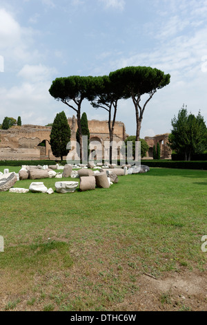 Vue sur jardin de pins de bâtiments le long des ruines des bains extérieurs mur ouest Caracalla Rome Italie Banque D'Images