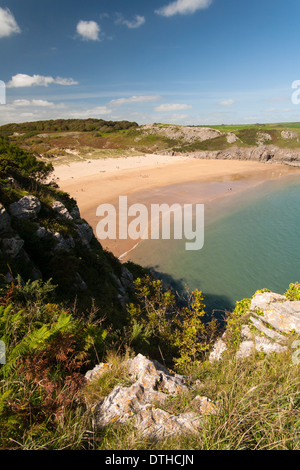 Marée basse et la plage de sable fin à Barafundle Bay, Pembrokeshire Banque D'Images