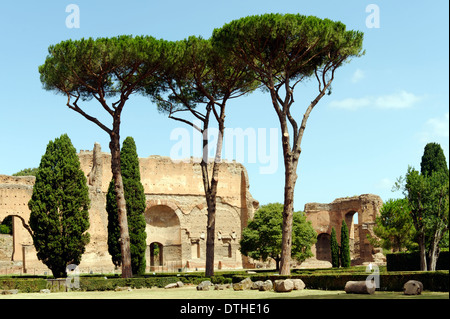 Vue sur le jardin et de pins aux ruines de bâtiments le long du mur ouest de la Thermes de Caracalla Rome Italie Banque D'Images