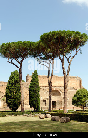 Vue sur le jardin et de pins aux ruines de bâtiments le long du mur ouest de la Thermes de Caracalla Rome Italie Banque D'Images