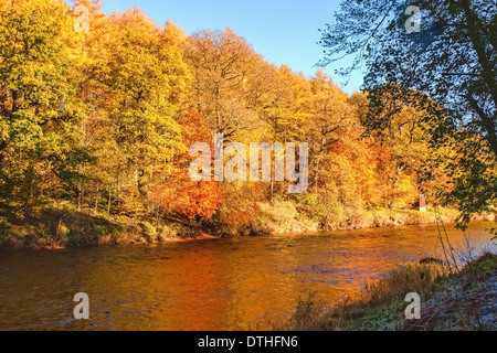 Couleurs d'automne, Riverside Walk, Novembre 2013 Banque D'Images