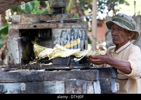 Man Raspadura panaméenne à partir de la canne près de Penonome dans la province de Cocle, République du Panama. Banque D'Images