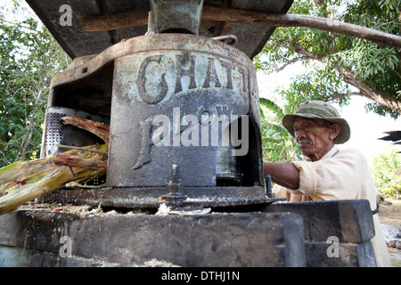 Man Raspadura panaméenne à partir de la canne près de Penonome dans la province de Cocle, République du Panama. Banque D'Images