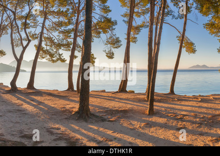 Tôt le matin de la plage de Formentor, connu sous le nom de Cala Pi de la posada Cove. Zone de Pollensa. Majorque, Baléares, Espagne Banque D'Images