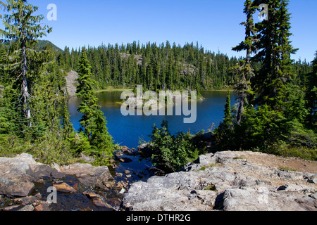 Au beau lac, Forbidden Plateau parc Strathcona, sur l'île de Vancouver, BC, Canada en Septembre Banque D'Images