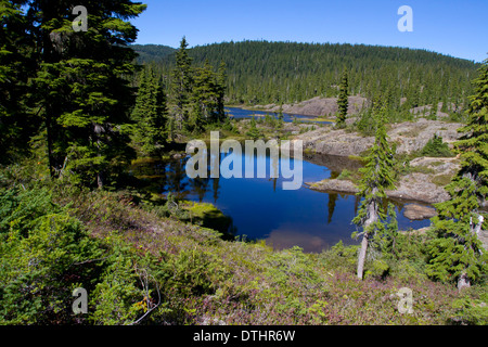 Sous-alpine à l'tarns, Forbidden Plateau parc Strathcona, sur l'île de Vancouver, BC, Canada en Septembre Banque D'Images