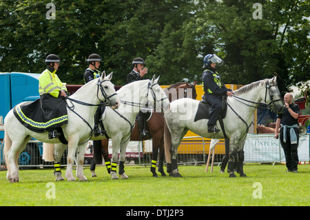 Quatre agents de police montée britannique sur l'affichage à un spectacle équestre. Banque D'Images