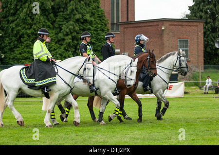 Quatre agents de police montée britannique sur l'affichage à un spectacle équestre. Banque D'Images