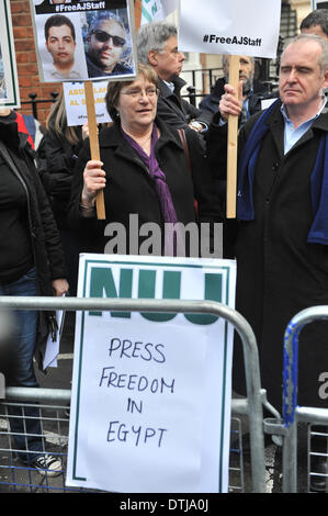 South Street, London, UK. 19 février 2014. Les bannières sont tenues d'en face de l'ambassade d'Égypte en tant que membres du NUJ exiger la libération des journalistes détenus en Egypte. Crédit : Matthieu Chattle/Alamy Live News Banque D'Images