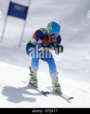 La Pierre Saint Martin, la Russie. Feb 19, 2014. Ted Ligety de USA fait concurrence au cours de l'homme Slalom géant de ski alpin dans l'événement Rosa Khutor Alpine Centre au Jeux Olympiques de 2014 à Sotchi, Russie, Krasnaya Polyana, le 19 février 2014. Photo : Michael Kappeler/dpa/Alamy Live News Banque D'Images