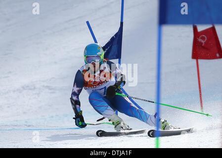 La Pierre Saint Martin, la Russie. Feb 19, 2014. Ted Ligety de USA fait concurrence au cours de l'homme Slalom géant de ski alpin dans l'événement Rosa Khutor Alpine Centre au Jeux Olympiques de 2014 à Sotchi, Russie, Krasnaya Polyana, le 19 février 2014. Photo : Michael Kappeler/dpa/Alamy Live News Banque D'Images