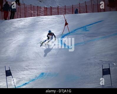 La Pierre Saint Martin, la Russie. Feb 19, 2014. Ted Ligety de USA fait concurrence au cours de l'homme Slalom géant de ski alpin dans l'événement Rosa Khutor Alpine Centre au Jeux Olympiques de 2014 à Sotchi, Russie, Krasnaya Polyana, le 19 février 2014. Photo : Michael Kappeler/dpa/Alamy Live News Banque D'Images