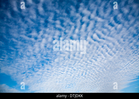 Un ciel de maquereau ou du babeurre de ciel nuages altocumulus sur Rue du bardeau, Suffolk, Angleterre Banque D'Images