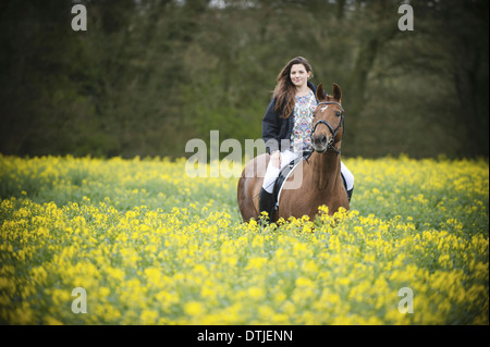Une femme à cheval sur un cheval brun à travers une culture de moutarde jaune à fleurs dans un champ en Angleterre Banque D'Images