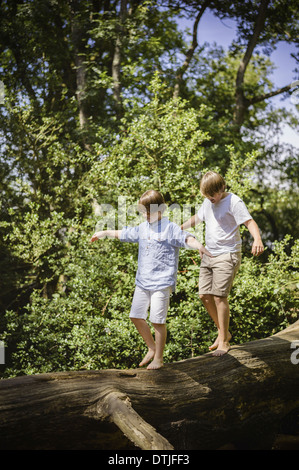 Deux garçons en camping dans la nouvelle forêt à marcher le long d'un journal au-dessus de l'eau l'équilibre avec leurs bras tendus Hampshire Angleterre Banque D'Images