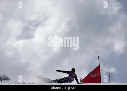 La Pierre Saint Martin, la Russie. Feb 19, 2014. Vic de la Russie sauvage en concurrence dans le Snowboard slalom géant parallèle de l'événement de Snowboard à Rosa Khutor Parc extrême au Jeux Olympiques de 2014 à Sotchi, Russie, Krasnaya Polyana, le 19 février 2014. Photo : Daniel Karmann/dpa/Alamy Live News Banque D'Images