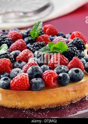 Tarte au fromage et aux petits fruits Banque D'Images