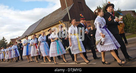 Drachhausen, Allemagne. 16 Février, 2014. Les couples non mariés en sorabe traditionnels costumes de fête traditionnels d'assister à l'Zapust Sorbian-Wendish le carnaval des jeunes dans Drachhausen, Allemagne, 16 février 2014. Zapust est le plus populaire de tradition les Sorabes. Le cortège de carnaval dans les villages de Lusace est tenu d'expulser l'hiver. Photo : Patrick Pleul/ZB/dpa/Alamy Live News Banque D'Images