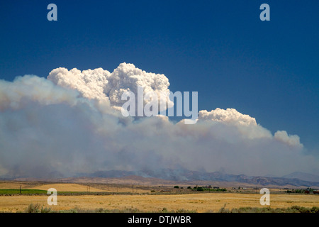 Cloud Pyrocumulus créé par un incendie de forêt près de Boise, Idaho, USA. Banque D'Images