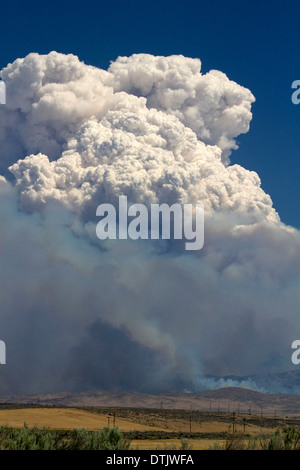 Cloud Pyrocumulus créé par un incendie de forêt près de Boise, Idaho, USA. Banque D'Images