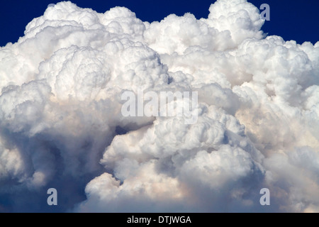 Cloud Pyrocumulus créé par un incendie de forêt près de Boise, Idaho, USA. Banque D'Images