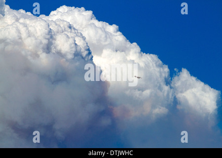 Cloud Pyrocumulus créé par un incendie de forêt près de Boise, Idaho, USA. Banque D'Images