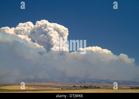 Cloud Pyrocumulus créé par un incendie de forêt près de Boise, Idaho, USA. Banque D'Images