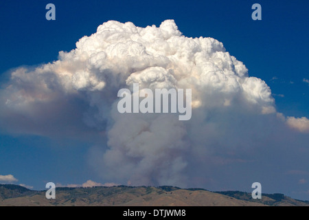 Cloud Pyrocumulus créé par un incendie de forêt près de Boise, Idaho, USA. Banque D'Images