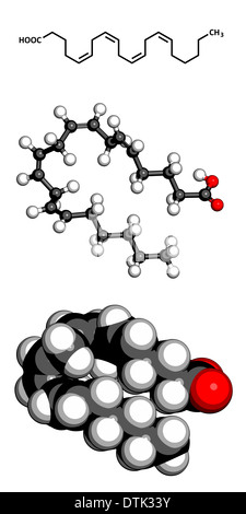 L'acide arachidonique (AA, ARA) polyinsaturés oméga-6 molécule d'acide gras. Banque D'Images