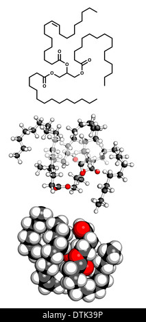 Les graisses animales saturées molécule de triglycéride. Ces molécules ...