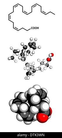 L'acide gras oméga-3 acide docosahexaénoïque (DHA) molécule. Banque D'Images