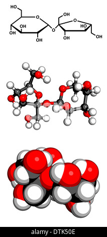 Le sucre (sucrose, saccharose) molécule. Trois représentations : formule topologique 2D, 3D ball-and-stick modèle... Banque D'Images