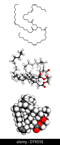 L'huile végétale de triglycérides insaturés molécule. Les triglycérides insaturés comme celui-ci sont souvent trouvés dans l'huile d'olive, etc. Banque D'Images