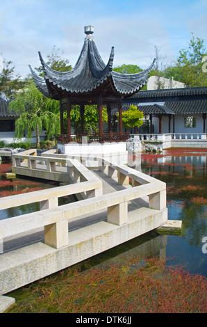 Jardin Chinois, Dunedin, Nouvelle-Zélande Banque D'Images