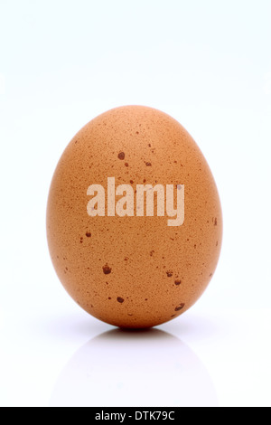 Brown egg on a white background Banque D'Images