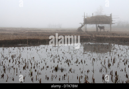 Laos rural en Asie du sud-est sur un matin brumeux près de Phonsavan Banque D'Images