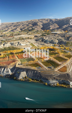 Les vergers, les vignobles et le lac Dunstan, Bannockburn, près de Cromwell, Central Otago, île du Sud, Nouvelle-Zélande - vue aérienne Banque D'Images