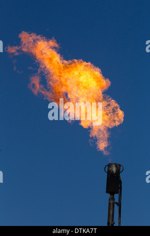 L'excès de gaz est brûlé à partir d'un tuyau d'émission sur un puits de pétrole dans les régions rurales du comté de Jim Wells, South Texas près de Hebbronville Texas Banque D'Images