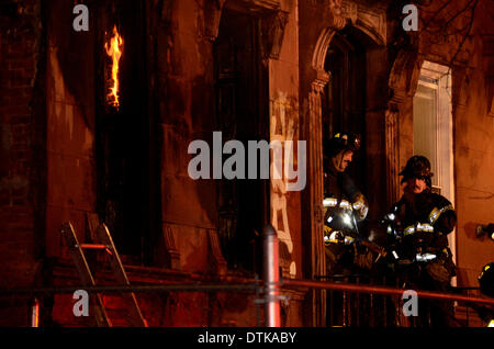 Stuyvesaunt Bedford, New York, USA. Feb 19, 2014. Tranche à travers l'Incendie bâtiment vacant dans Bedstuy. Appartement au sous-sol était trop remplie de papiers et déchets causant une rude bataille pour FDNY. On n'a signalé aucun blessé Crédit : Michael Glenn/Alamy Live News Banque D'Images