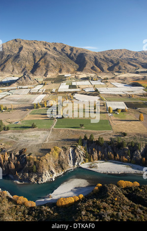 Kawarau River et de vignobles, Gibbston Valley, Otago, île du Sud, Nouvelle-Zélande - vue aérienne Banque D'Images