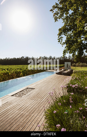 Piscine De luxe avec vue sur vignoble Banque D'Images