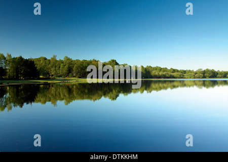 Loch Lochend, Drumpellier Country Park, Coatbridge, North Lanarkshire Banque D'Images